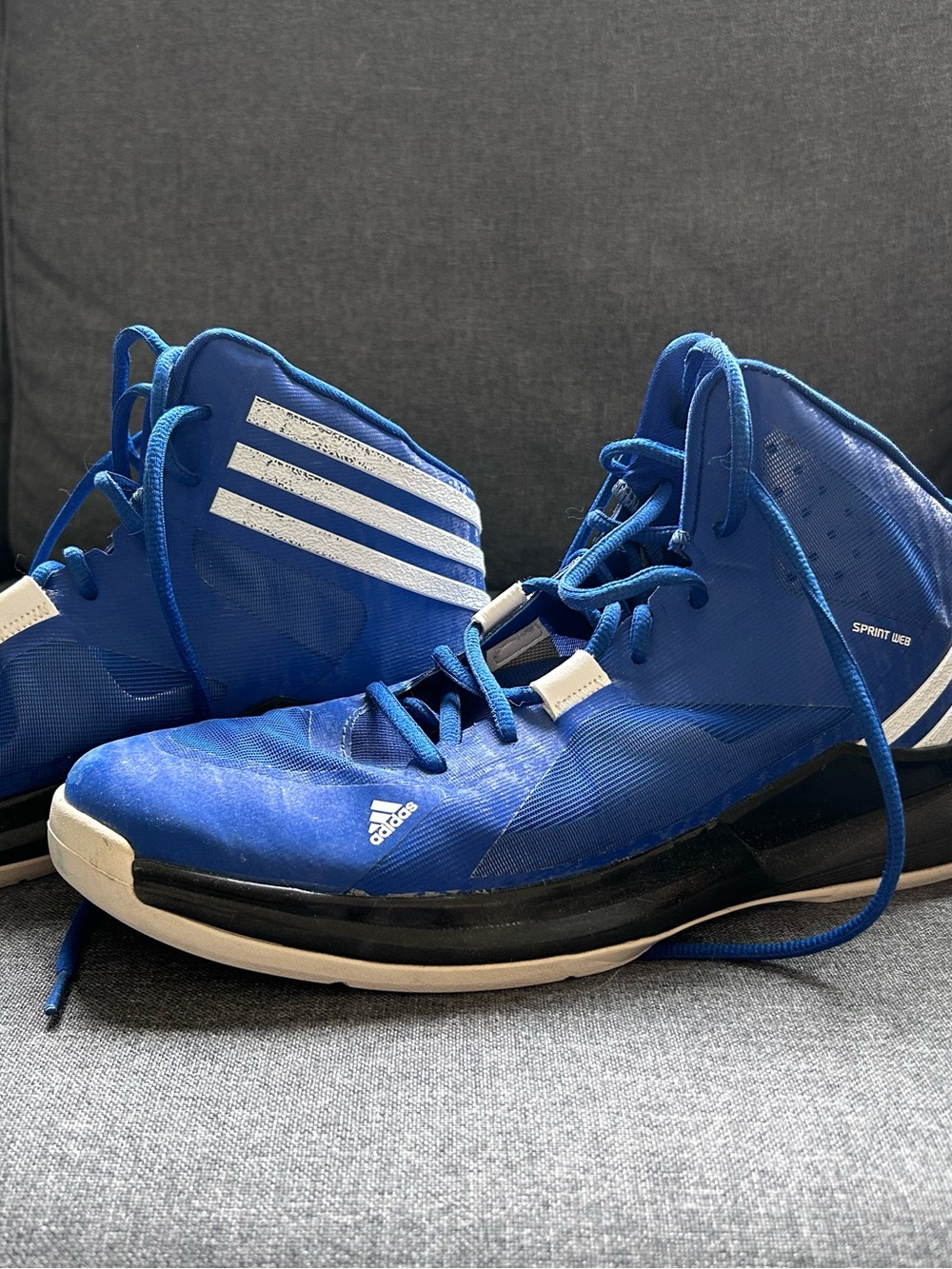 adidas Royal Blue Athletic Sneakers with White Branding